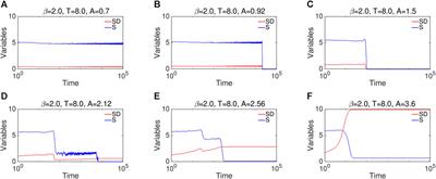 Exploring the formation dynamics of affective polarization by considering coupled feedback